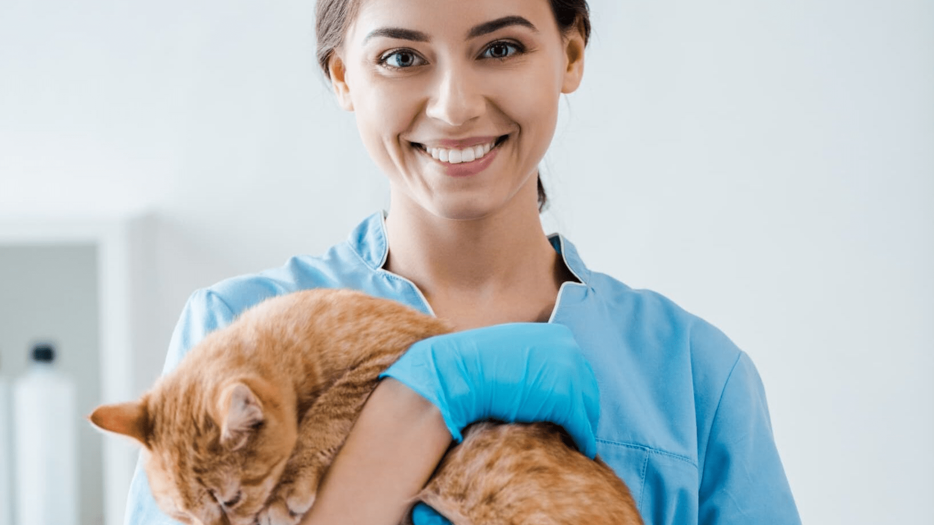 Grundkurs i läkemedelshantering för hund & katt. En tvådagarsutbildning med tillhörande praktik. Vi hjälper dig att hitta en praktikplats.