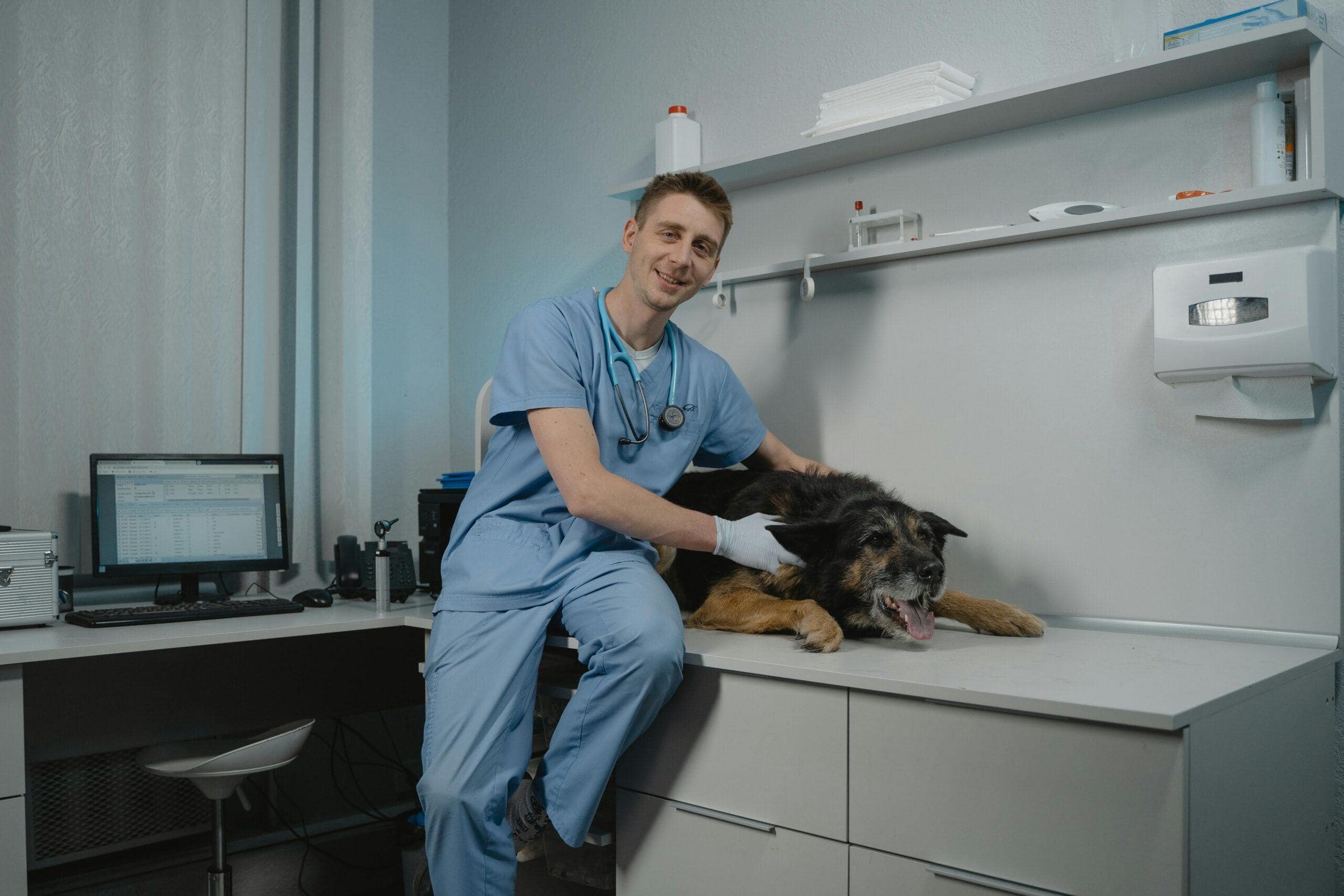 Nya regler för veterinärjournaler 2025: Få koll på språkkrav och hur du dokumenterar korrekt enligt Jordbruksverket.
