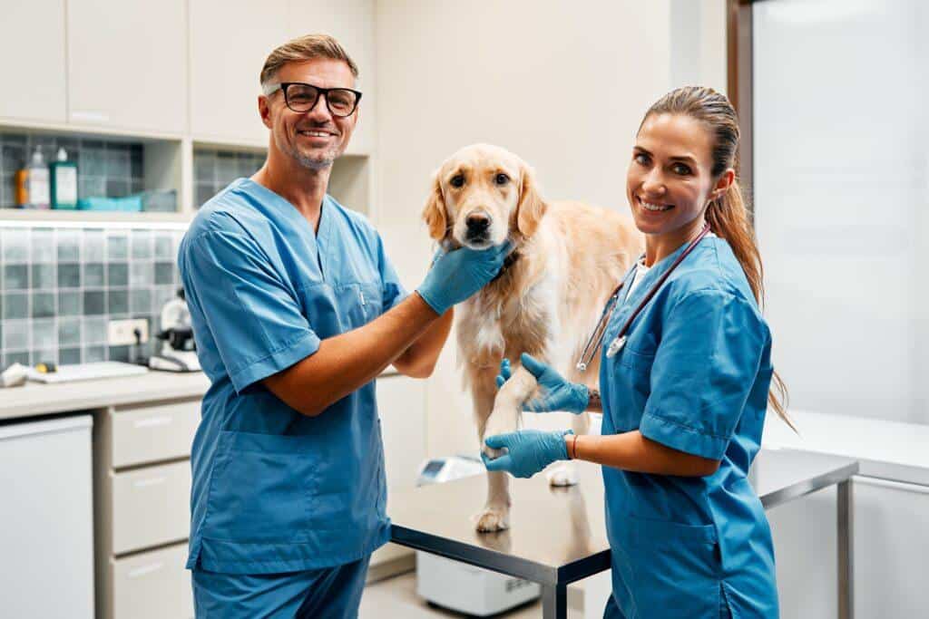 Vetmigos Anestesi och analgesi för hund och katt ger dig den kunskap och de färdigheter du behöver för att tryggt arbeta med sövning av hund och katt – redan efter tre intensiva kurstillfällen och egen studietid mellan kurstillfällena.